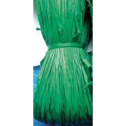 RAFIA NATURALE GR.50 VERDE...