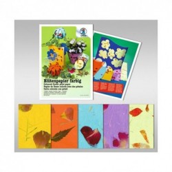 CARTA FIORI FG. 10 COLORI...