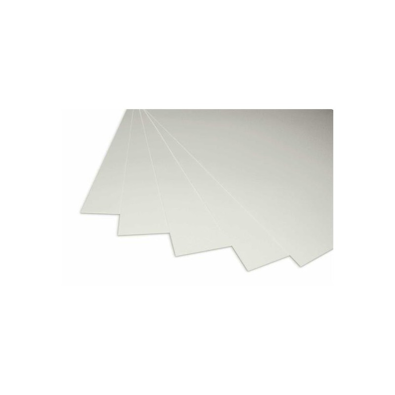 CART/PESANTE 25X35 FG.10 GR.380 BIA/GRIGIO