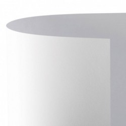 CARTONCINO BRISTOL 50x70...