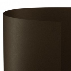 CARTONCINO BRISTOL 100x70...