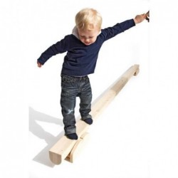 ASSE D'EQUILIBRIO LEGNO MT.3
