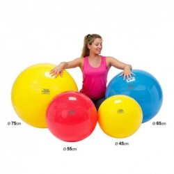 GYMNIC CLASSIC CM.75 GIALLO