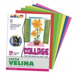 CARTA VELINA FG. 25 50X76 5...
