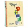 CARTA FOT. A4 TINTE TENUI\5 COL. GR.80 500FG