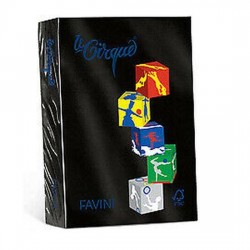 CARTA LE CIRQUE A4 GR.160...