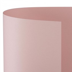 CARTONCINO BRISTOL 50x70...