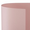 CARTONCINO BRISTOL 50x70 ROSA - Conf 25 Fg