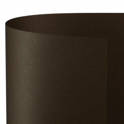 CARTONCINO BRISTOL 50x70...