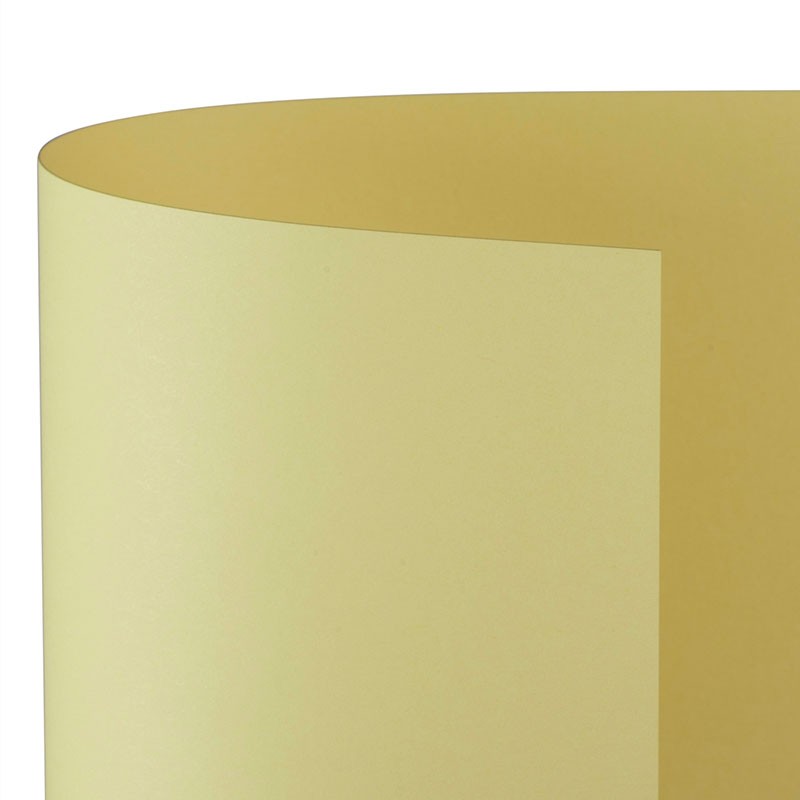 CARTONCINO BRISTOL 100x70 CAMOSCIO