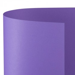 CARTONCINO BRISTOL 100x70...