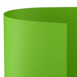 CARTONCINO BRISTOL 100x70...