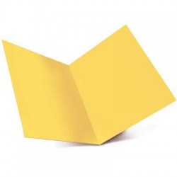 CARTELLINA LUCE SEMPLICE...