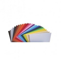 CARTONCINO GR. 220 70X100...