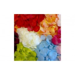 PETALI DI CARTA COLORATI...